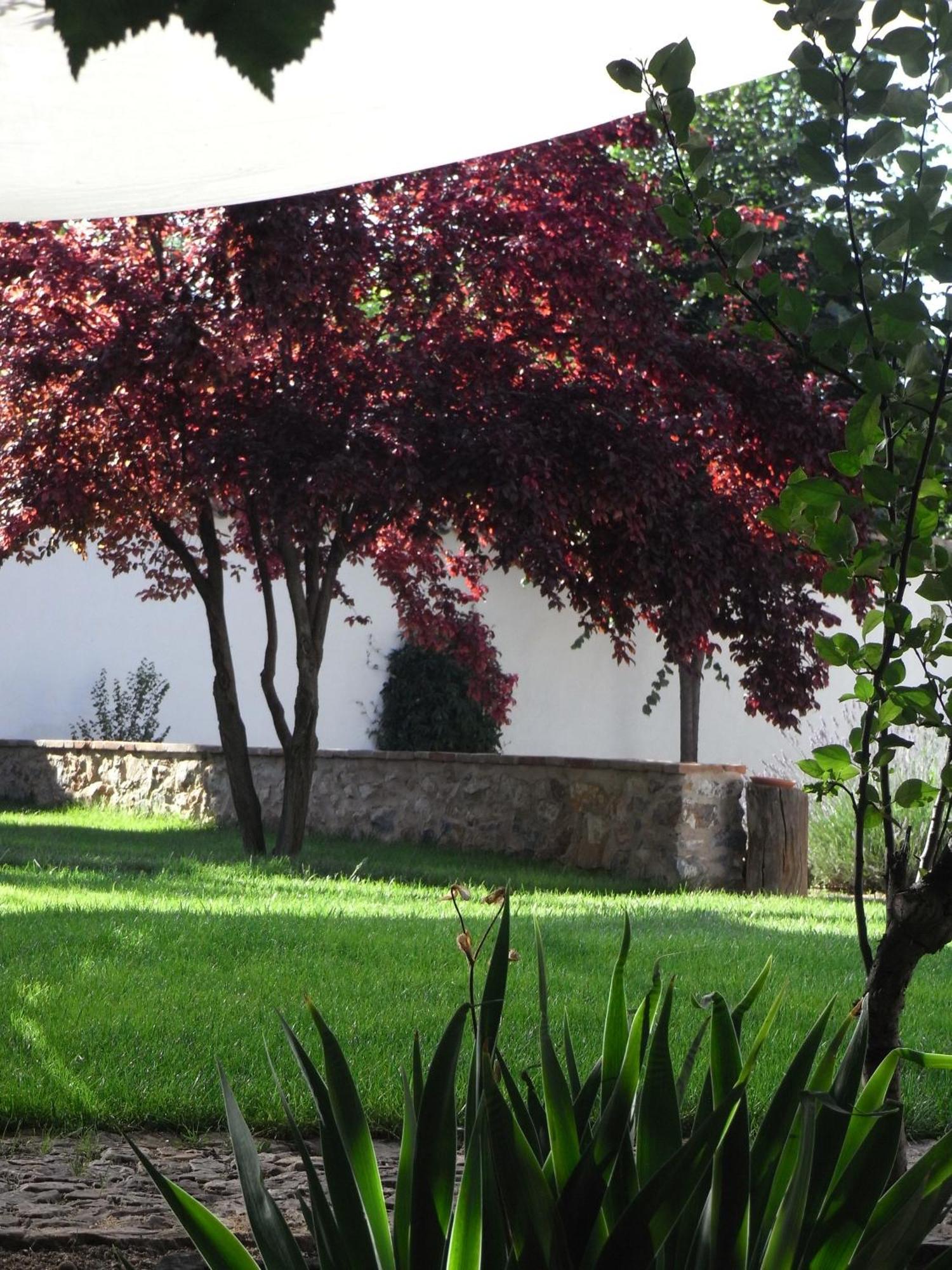 מדרידחוס Casa Rural La Alameda מראה חיצוני תמונה